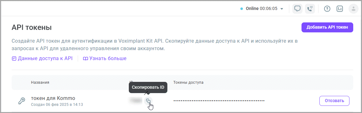 Скопировать ID API токена Скопировать ID API токена