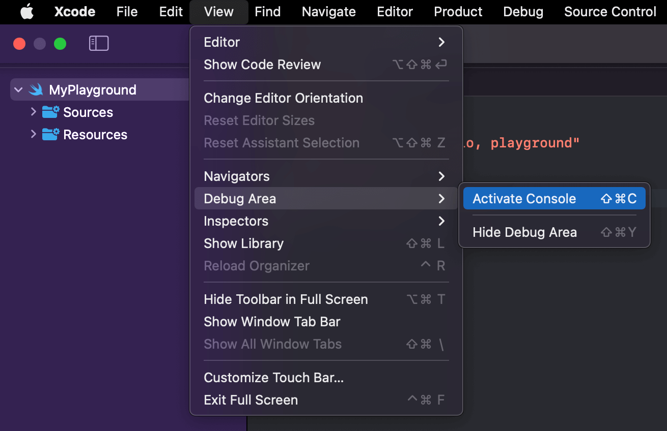 Xcode console Xcode console